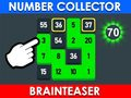 Laro Tagapagtipon ng Numero: Brain Teaser online