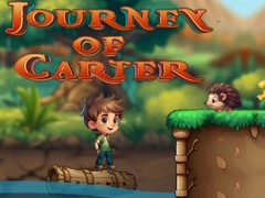 Laro Paglalakbay ni Carter online