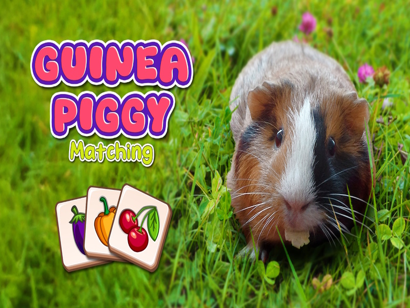 Laro Pagtutugma ng Guinea Piggy online