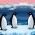 Mga penguin Mga penguin online