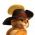 Pus in Boots Pus in Boots online