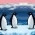 Mga penguin  online